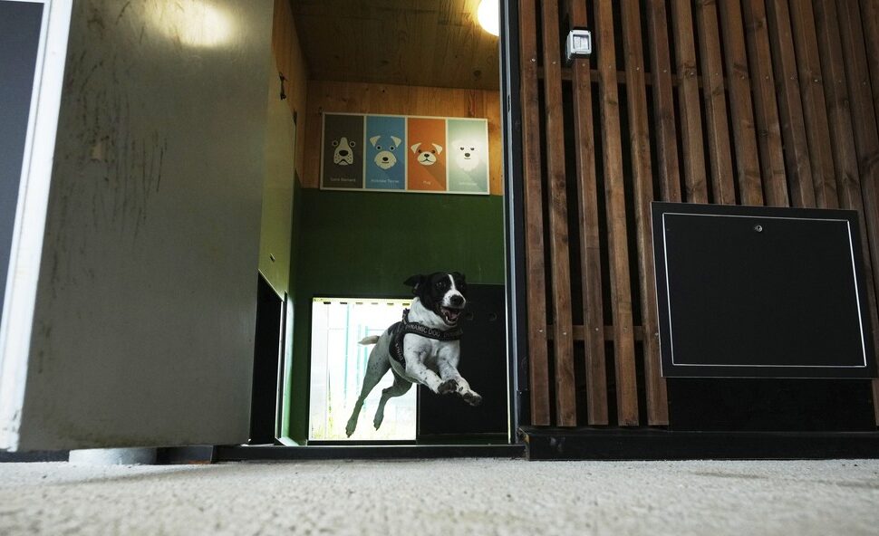 αεροδρόμιο Φιουμιτσίνο