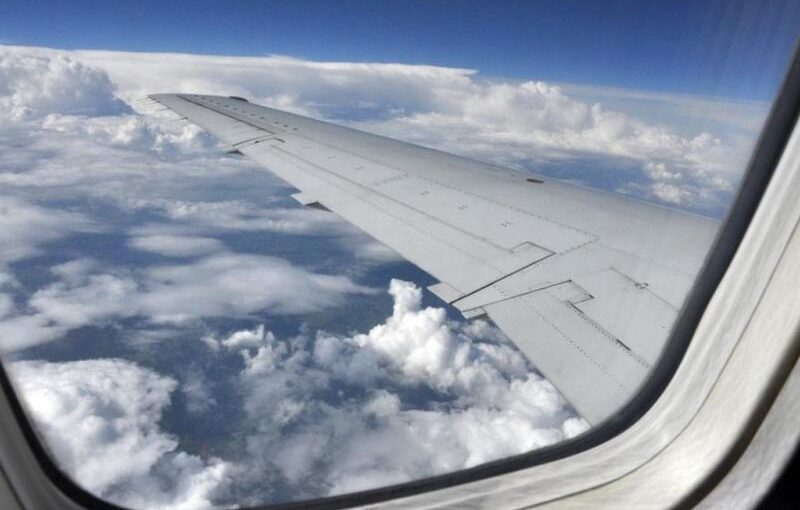 Ειδική πτήση από Ντουμπάι για Έλληνες με κατοικίδια – Περιορισμένες θέσεις